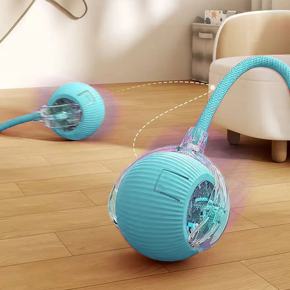 Minge Interactiva pentru Pisici