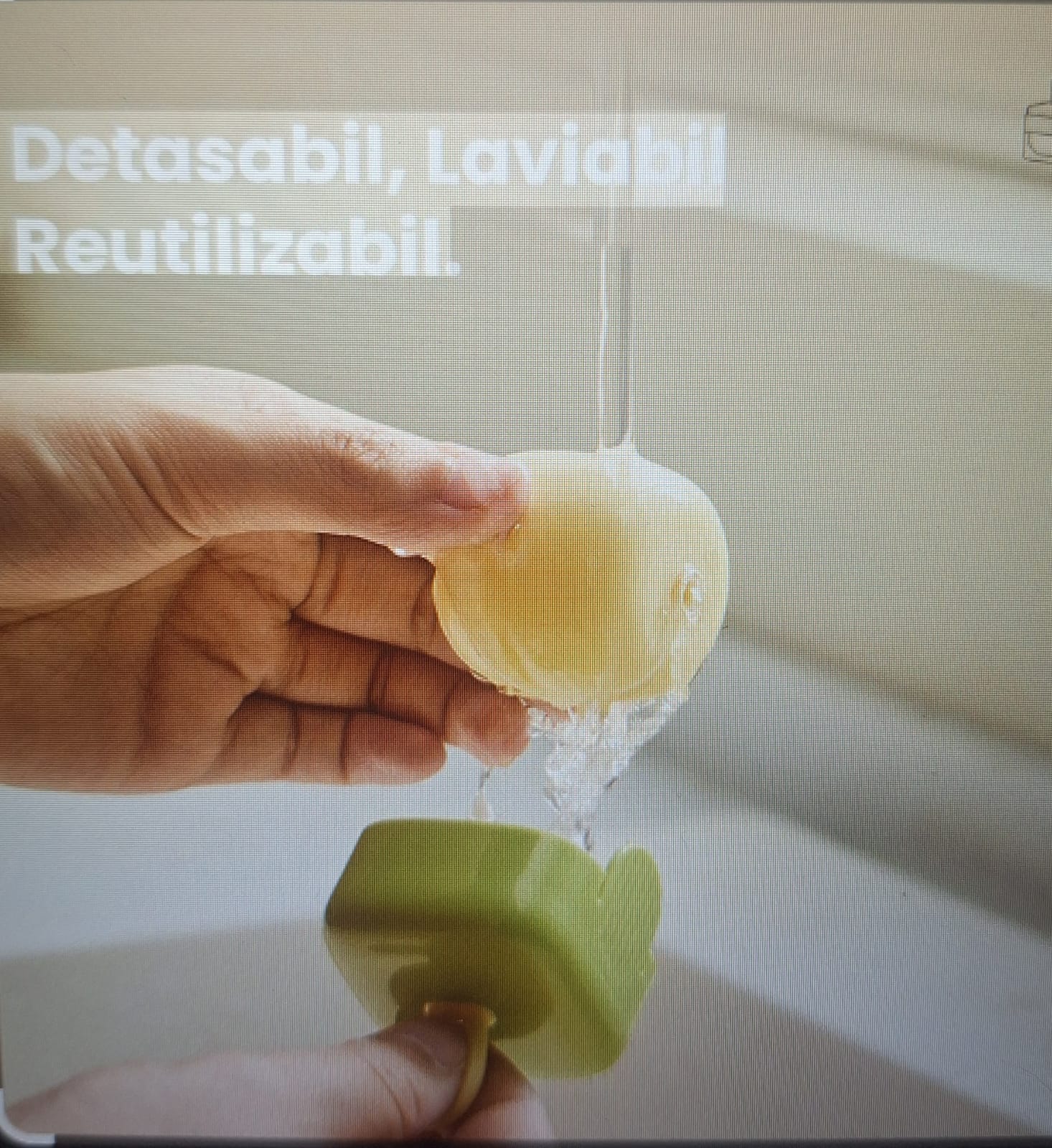 Rola pentru păr si scame