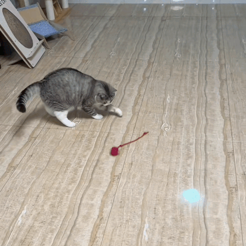 Minge Interactiva pentru Pisici